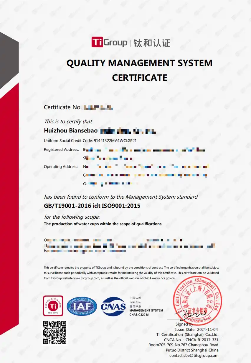 ISO 9001 Quality Management System Certificate
